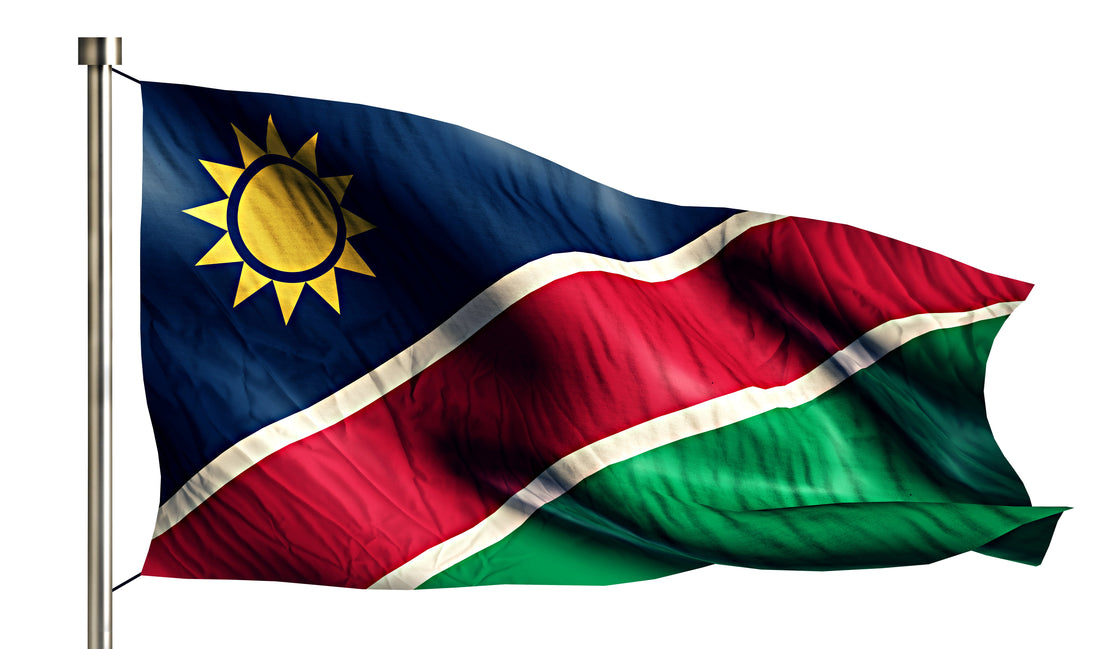 Remote Computer Support in Namibia - Try RCS911.africa Today!